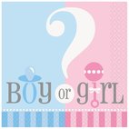 Gender Reveal / Baby Shower