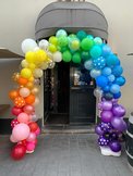 ballonnen boog, organic vanaf 1 deurs