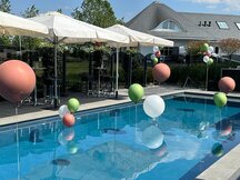 Ballonnen in zwembad, 24 inch . vanaf prijs