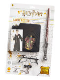 Harry Potter blister verpakking