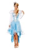 Ijskoningin jurk blauw wit thema feest winter carnaval
