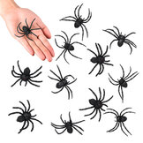 Set van 12 spinnen