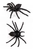 Spinnen Zwart - 6 stuks
