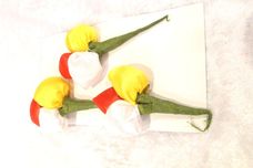 Tulpen broche oetel 3x, rood/wit/geel